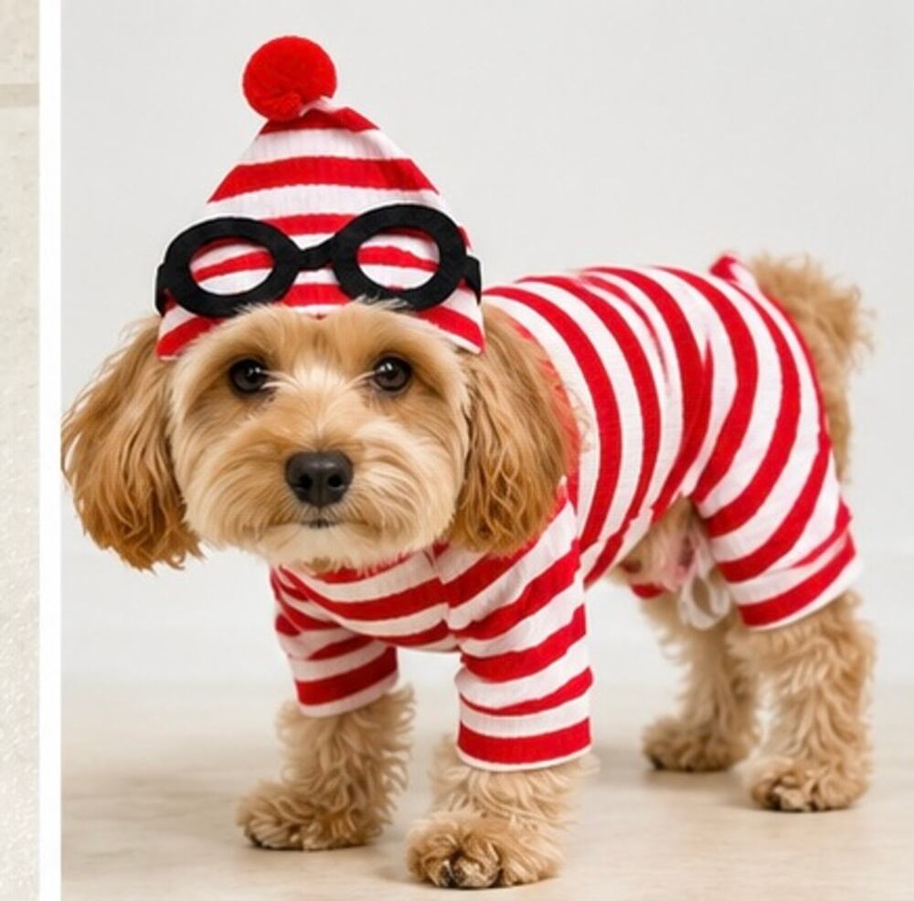 Pet Where’s Waldo Halloween Costumes Dog M NWOT